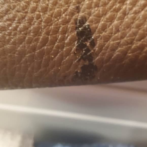 The Sak brown leather purse - Picture 4 of 14